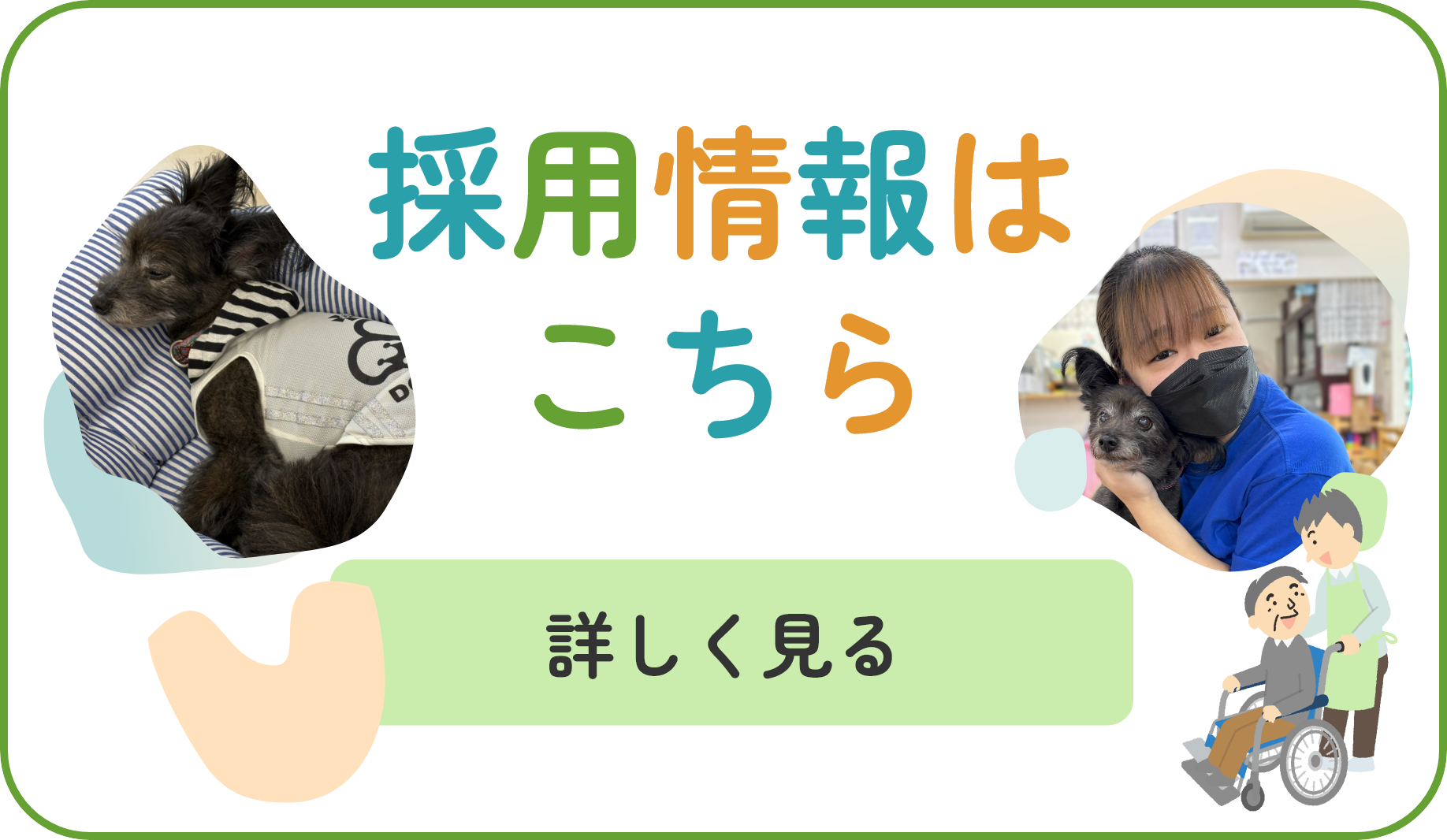 採用情報はこちら　詳しく見る